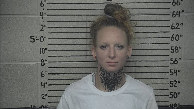 Booking photo of Nicole Ludwig