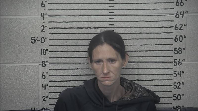 Booking photo of Tina Waughtel
