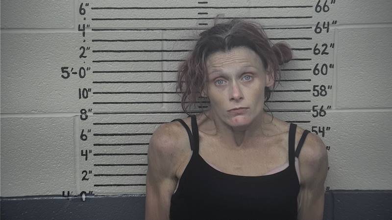 Booking photo of Jessica Mcguire