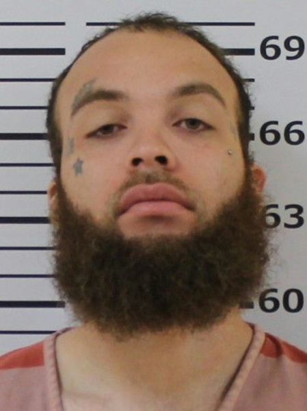 Booking photo of Michael Ingram