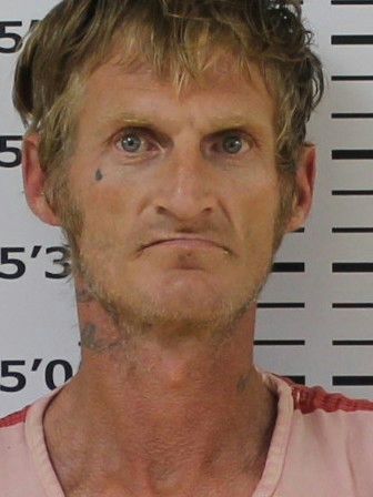 Booking photo of Stacey Ashley