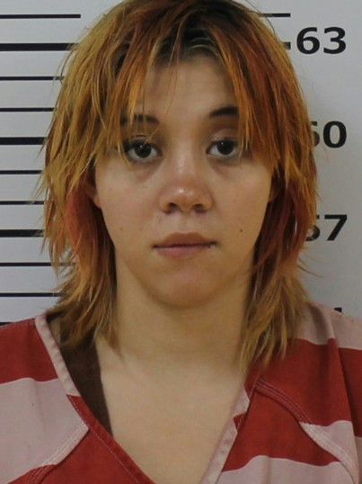 Booking photo of Emily Boings