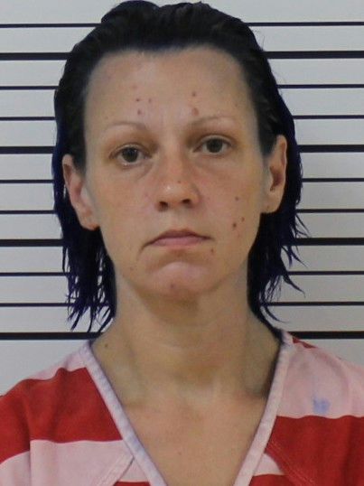 Booking photo of Heidi Ganzman