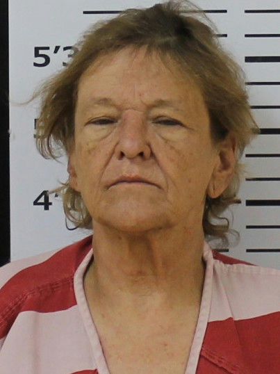 Booking photo of Shelia Ferguson