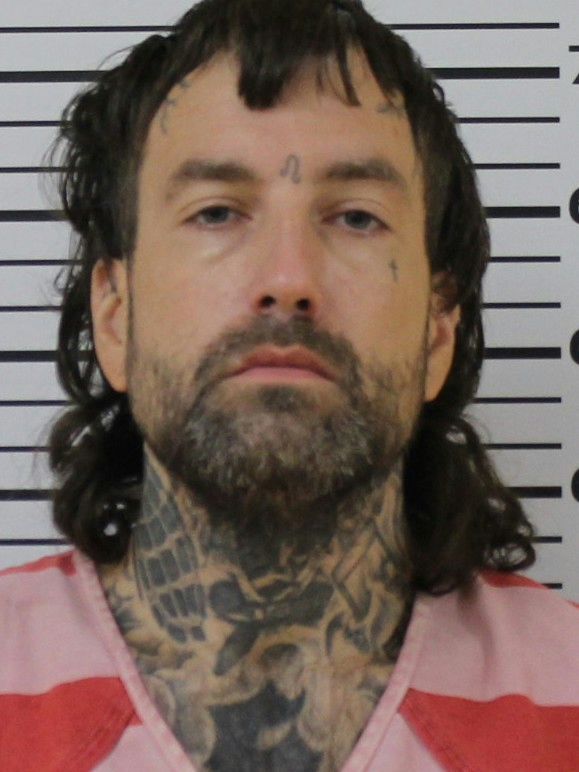 Booking photo of Devin Stout