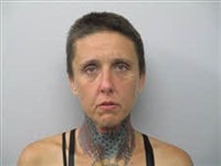 Dana Roxanne Vincent booking photo