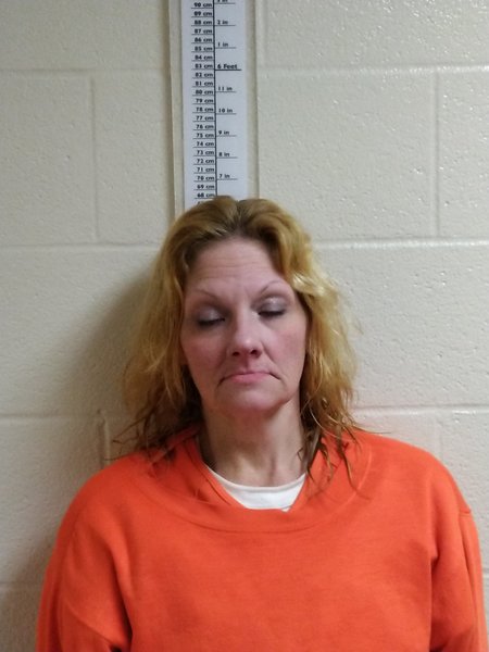 Booking photo of Dawn Cavanaugh