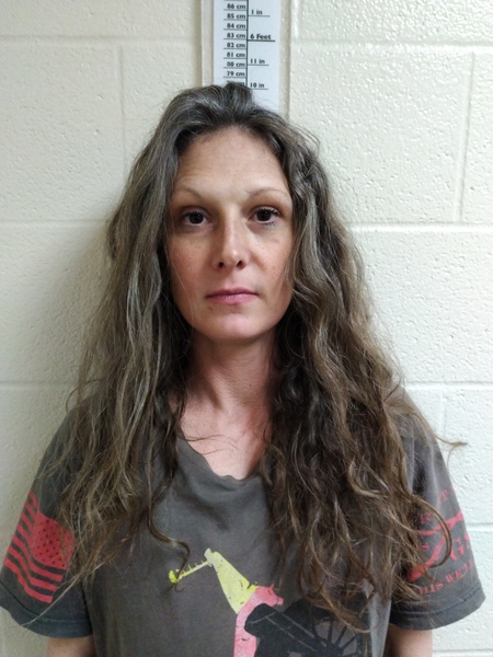Booking photo of Nicole Beebe