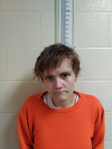 Booking photo of Alexis Bowers