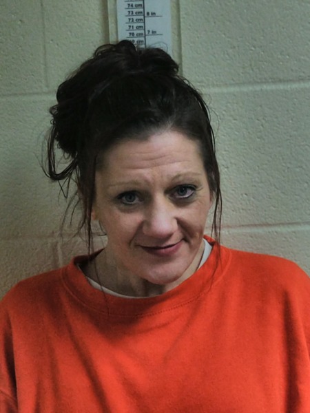 Booking photo of Natasha Meeks