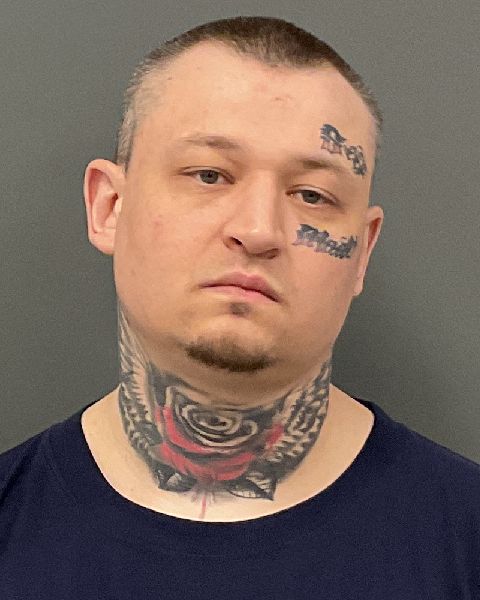 Booking photo of David Ryan Pryde