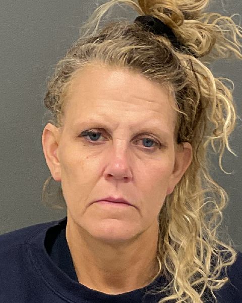 Booking photo of Kristine Anna Jirava