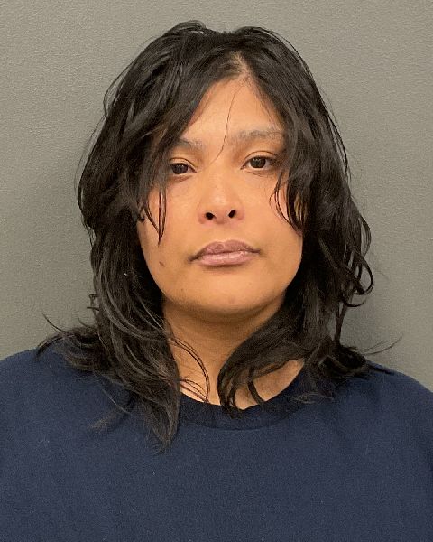 Booking photo of Mary Jo Nmn Ozuna