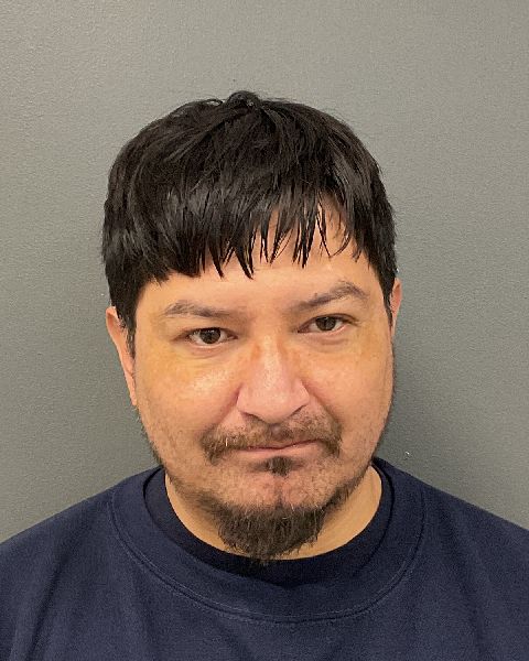 Booking photo of Louis Vincent Cottonwood