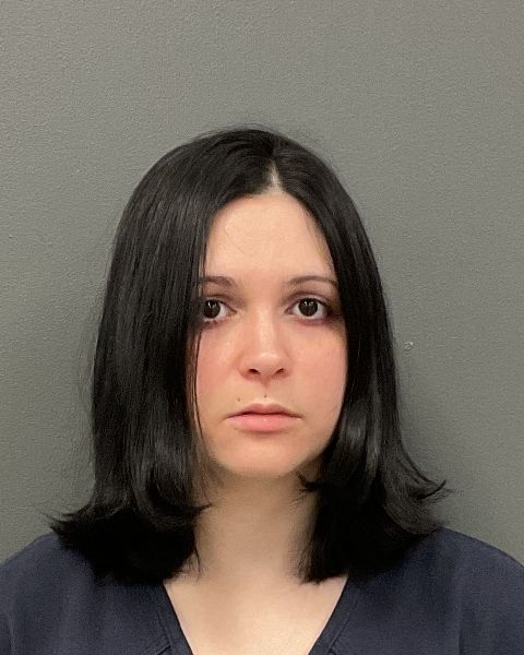 Peleg Ariel Ben-noon booking photo