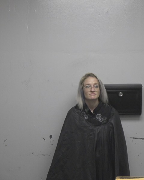 Booking photo of Jacklyn Jann