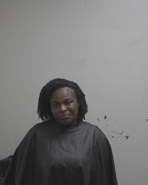 Booking photo of Sandra Johnson