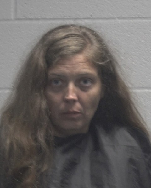 Booking photo of Ashley Mcabee