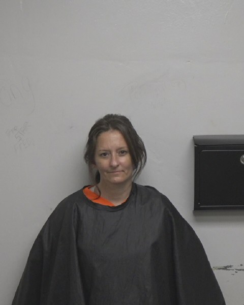 Melissa Patterson booking photo