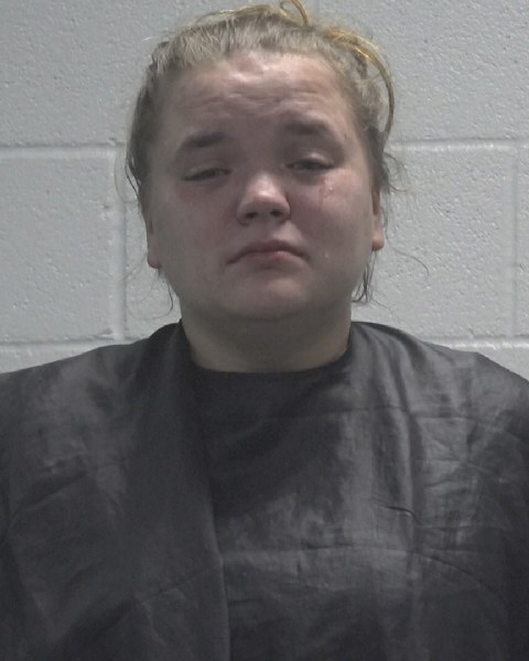 Booking photo of Britany Walker