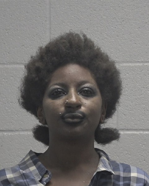 Booking photo of Winter Lavender