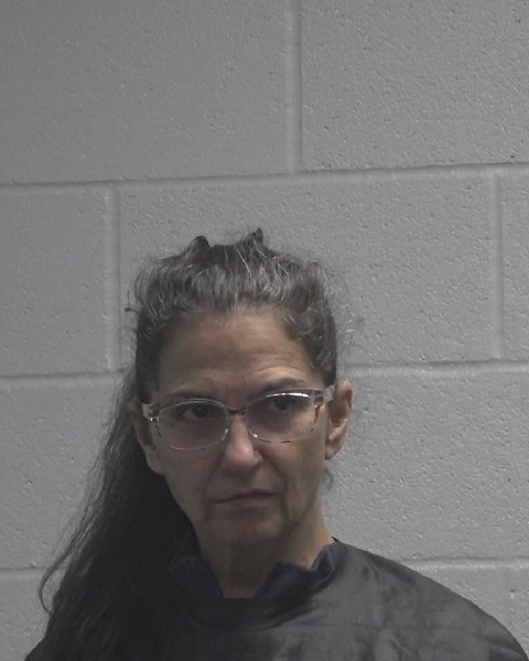 Booking photo of Victoria Lawrence