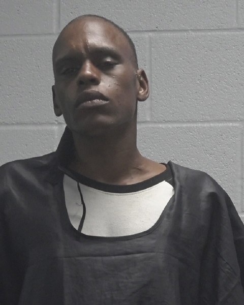 Booking photo of Rachel Blair