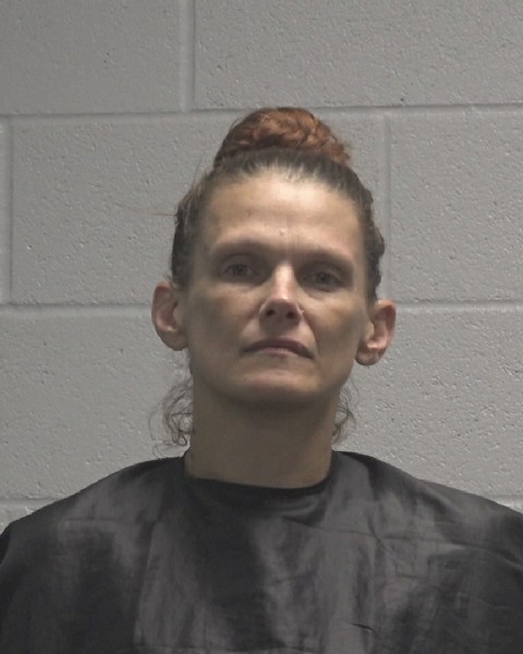 Booking photo of Amanda Mclean