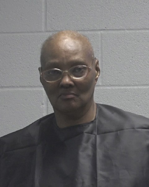 Booking photo of Julie Turner