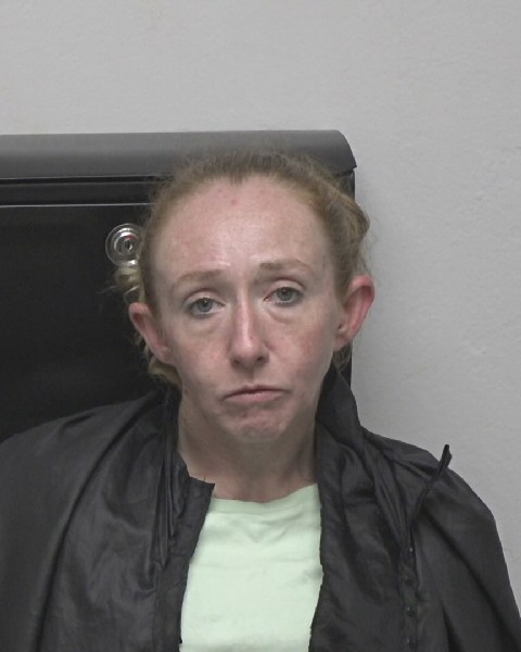 Booking photo of Rebecca Cartee
