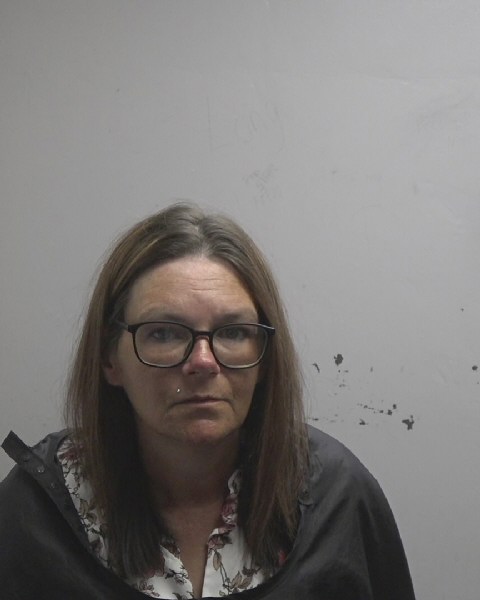 Booking photo of Hollis Wood