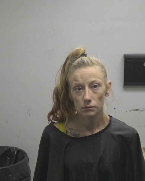 Booking photo of Ashley Todd