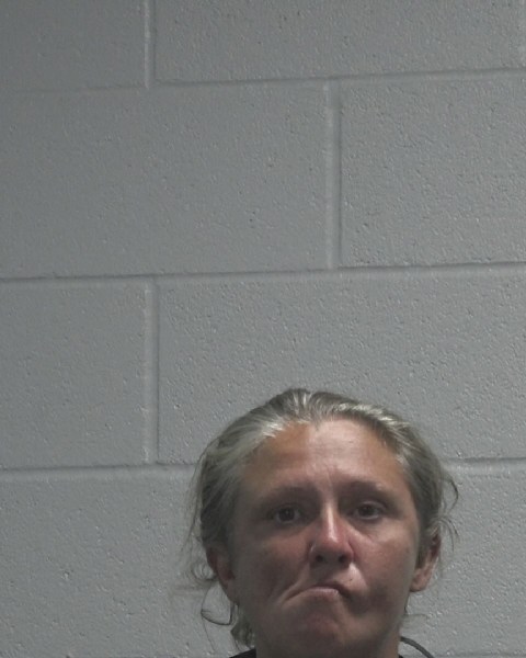 Booking photo of Kimberly Langley