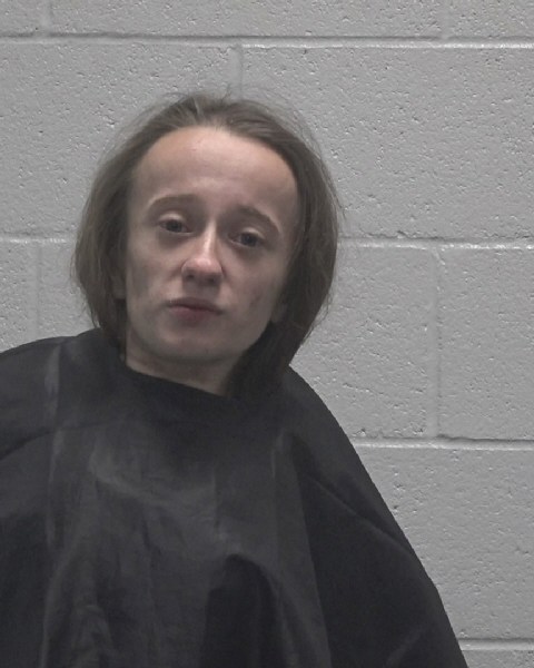 Booking photo of Addison Parker