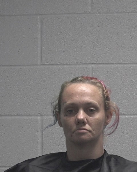 Booking photo of Heidi Vaughn