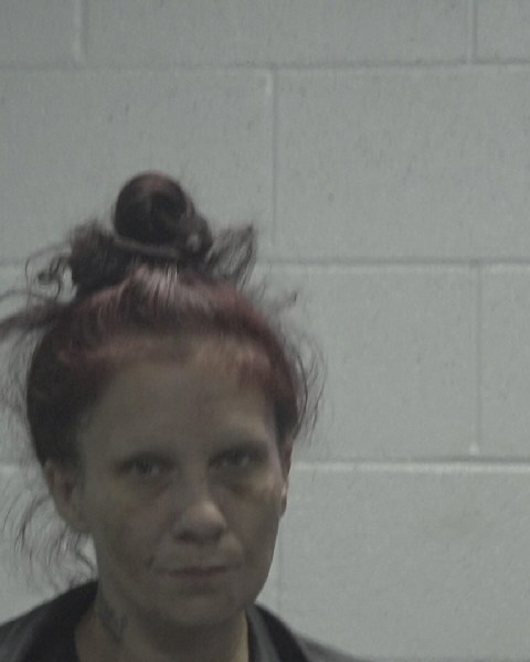 Booking photo of Kimberly Holland
