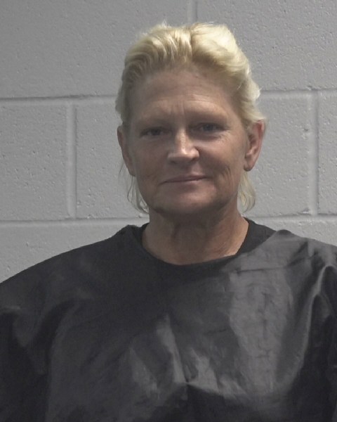Booking photo of April Barnes