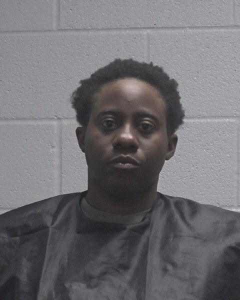 Booking photo of Brittany Wilson