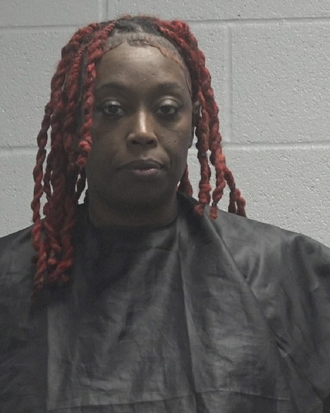 Booking photo of Nancy Garlin