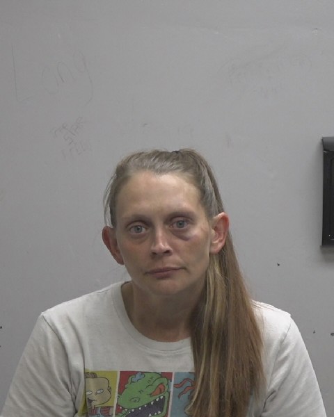 Booking photo of Sara Poole