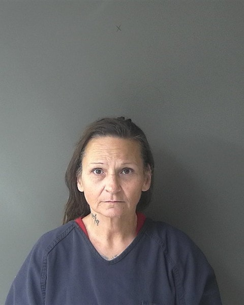 Booking photo of Melissa Ann Ritter