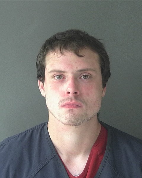Booking photo of Peter David Williams