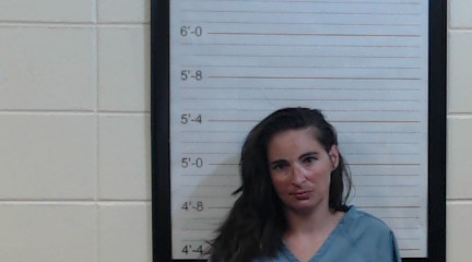 Booking photo of Donna Marie Haskins