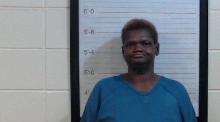 Booking photo of Landrea Natasha Wiggins
