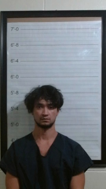 Booking photo of Faimafili Henry Porter