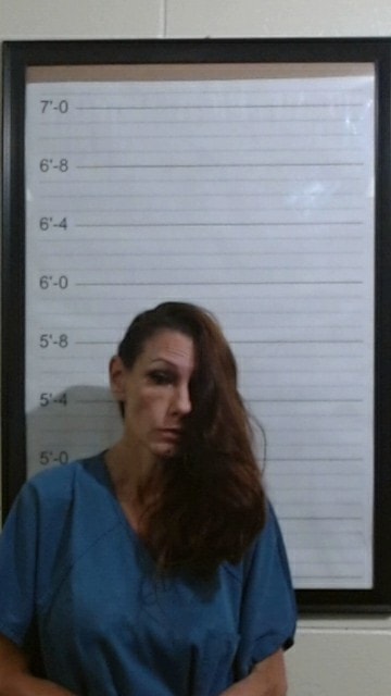 Booking photo of Andrea Dee Collins