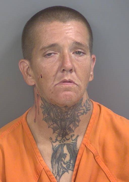 Booking photo of Michelle Skipper