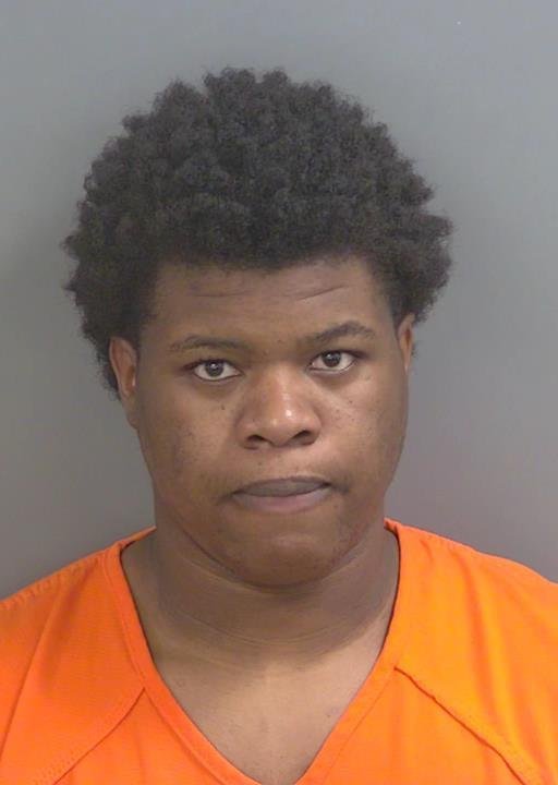 Booking photo of Tishmar Elleston