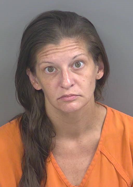 Booking photo of Erika Nolan