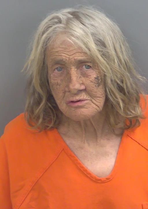 Booking photo of Elizabeth Champion